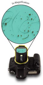 Look through the SensorScope and inspect you sensor for debris. 